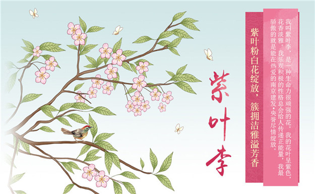 pa旗舰厅(中国区)官方网站-PlayAce